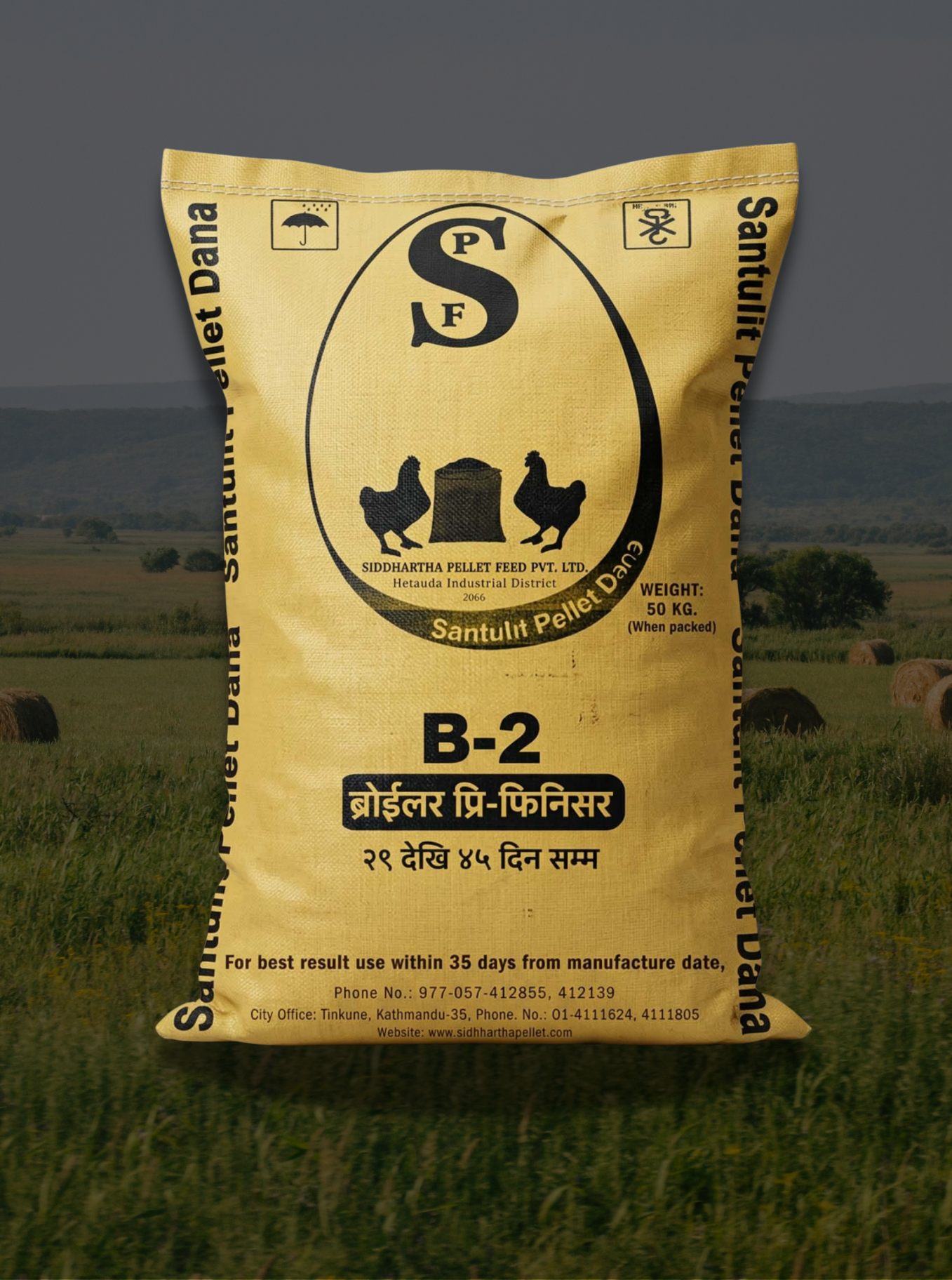 Pellet Machine B2